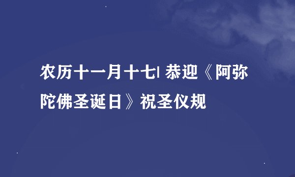农历十一月十七| 恭迎《阿弥陀佛圣诞日》祝圣仪规
