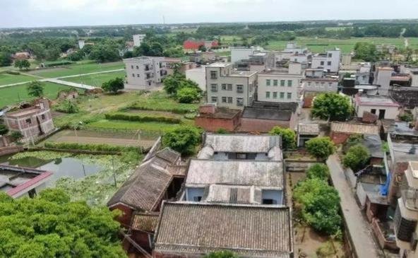 广东湛江传奇:许爱周家族