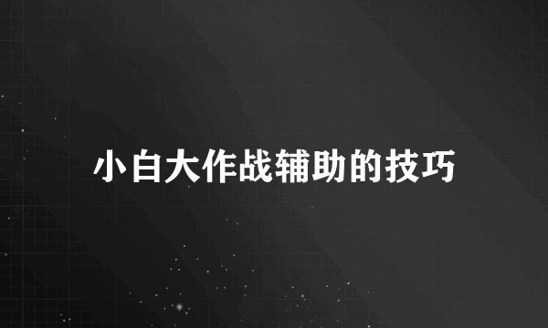 小白大作战辅助的技巧