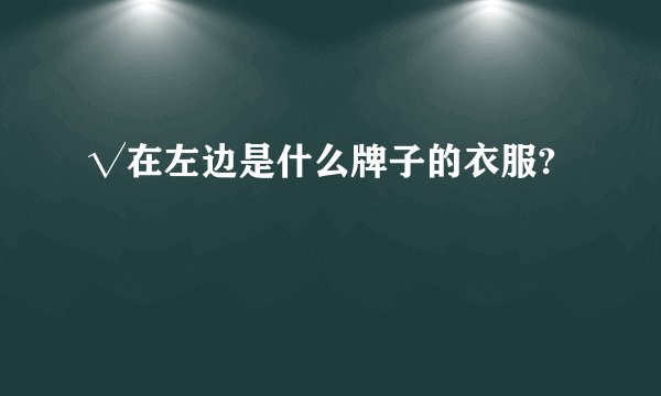 √在左边是什么牌子的衣服?
