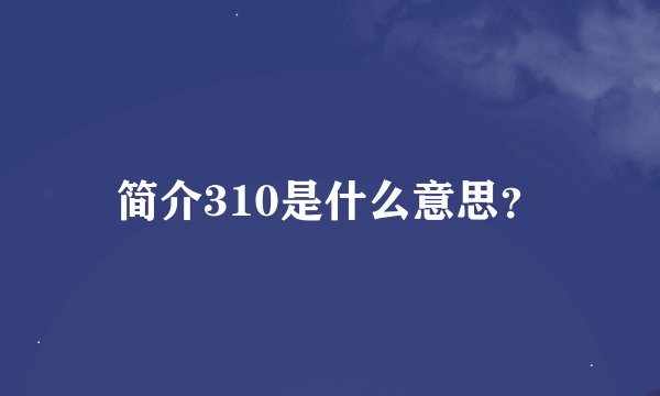 简介310是什么意思？