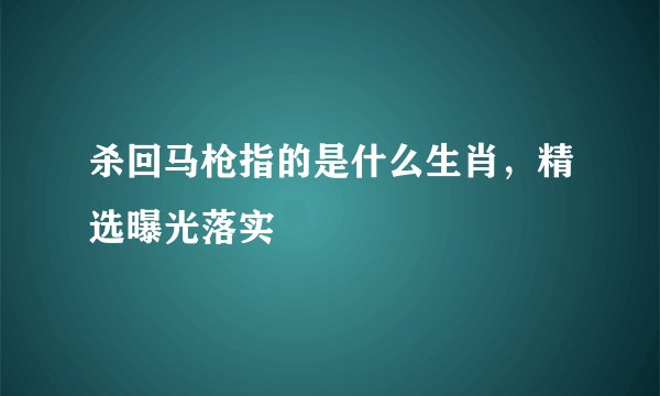 杀回马枪指的是什么生肖，精选曝光落实