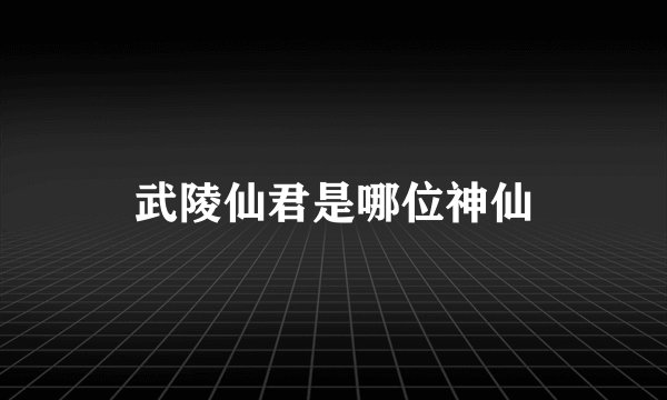 武陵仙君是哪位神仙