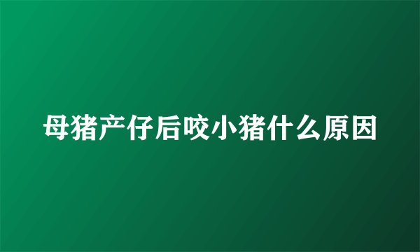 母猪产仔后咬小猪什么原因