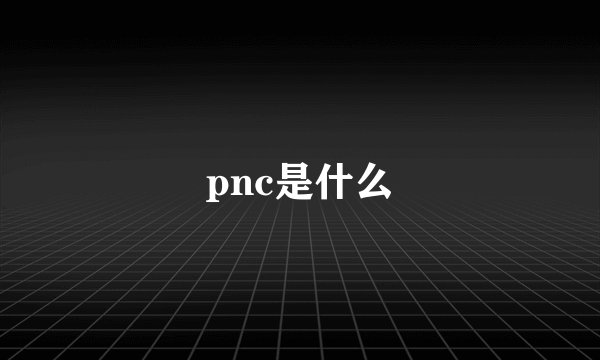 pnc是什么