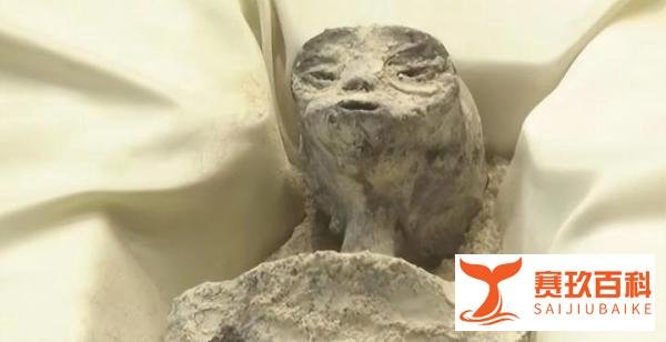 墨西哥国会揭晓非人类化石,UFO学家称其为千年外星个体