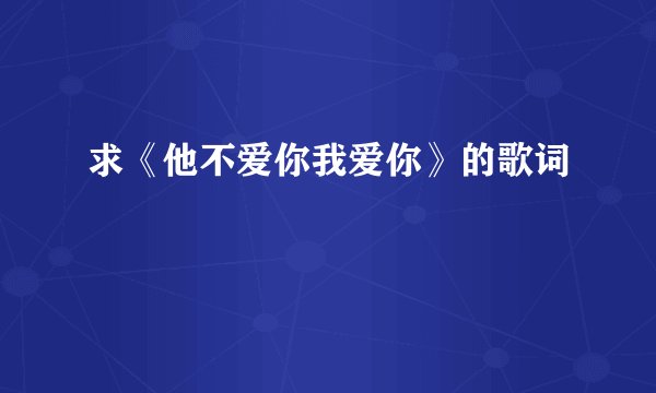 求《他不爱你我爱你》的歌词
