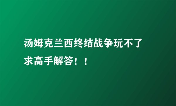 汤姆克兰西终结战争玩不了 求高手解答！！
