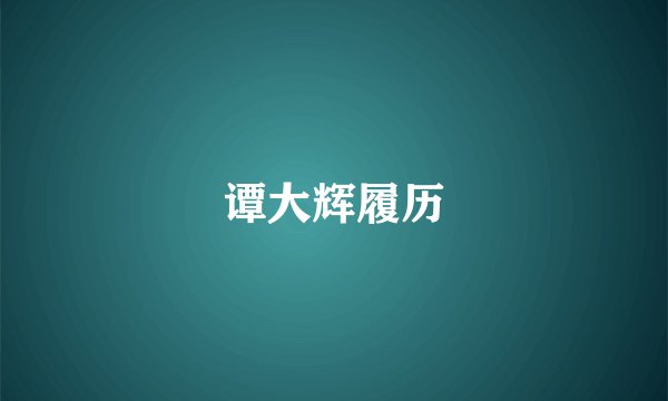 谭大辉履历