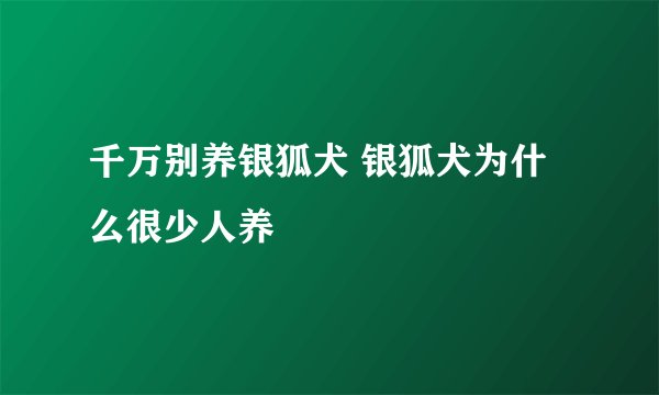 千万别养银狐犬 银狐犬为什么很少人养