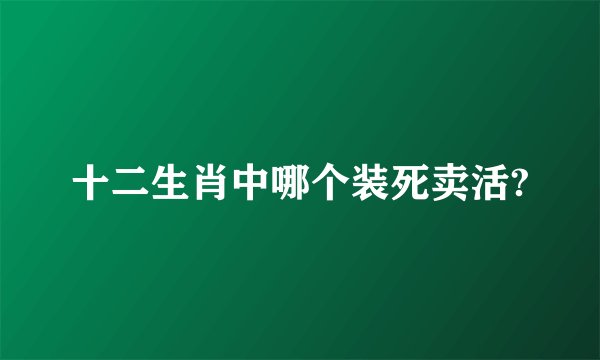 十二生肖中哪个装死卖活?