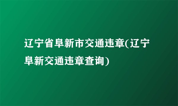 辽宁省阜新市交通违章(辽宁阜新交通违章查询)