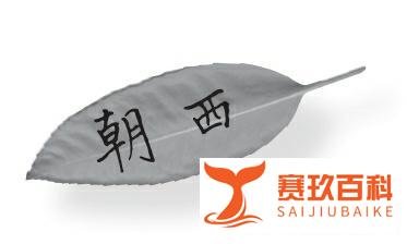 《树下神猫的告白》:愿每个人都能遇到自己的神猫