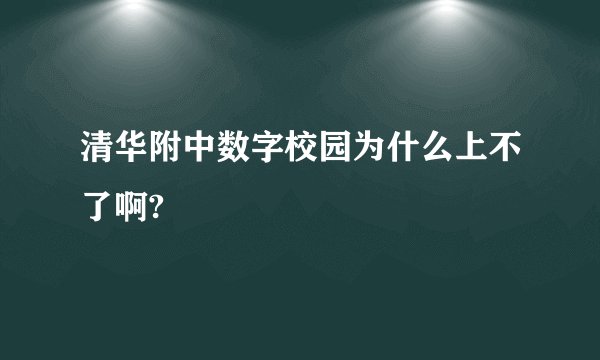 清华附中数字校园为什么上不了啊?