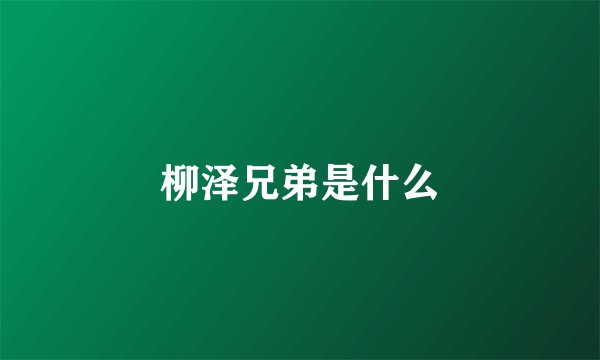 柳泽兄弟是什么