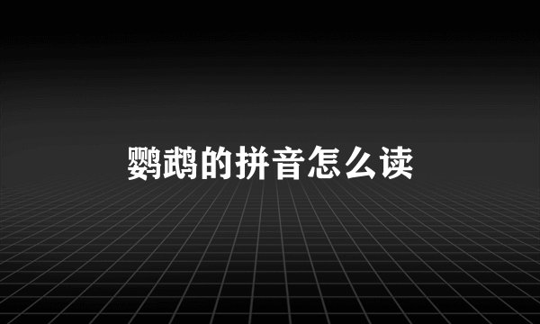 鹦鹉的拼音怎么读
