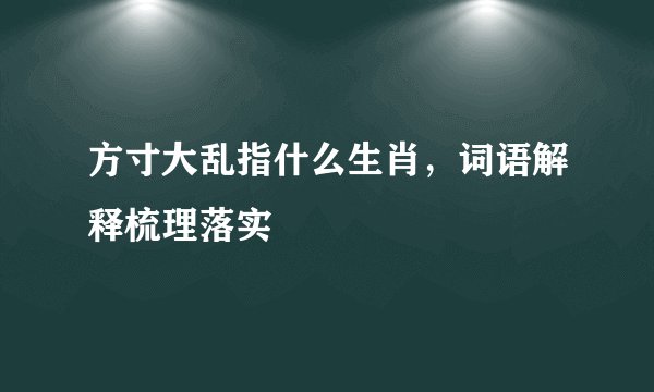 方寸大乱指什么生肖，词语解释梳理落实