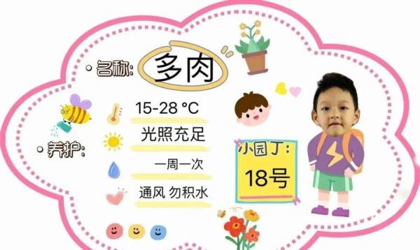 棒的幼儿园动植物角植物名称牌、可打印直接使用！看过的园长幼师都收藏了！
