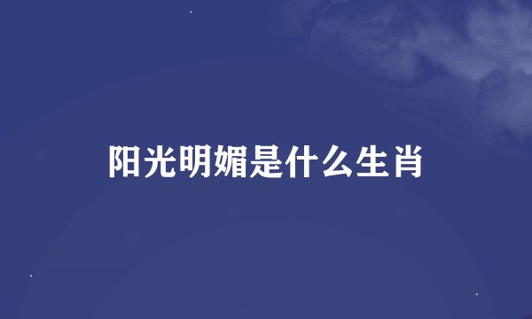 阳光明媚是什么生肖