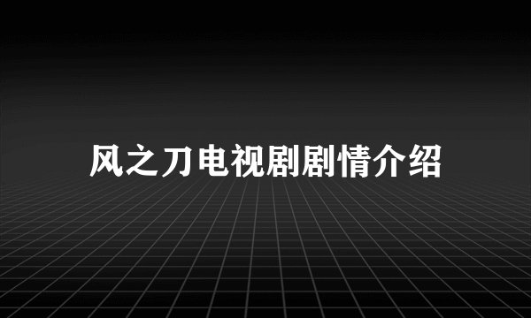 风之刀电视剧剧情介绍