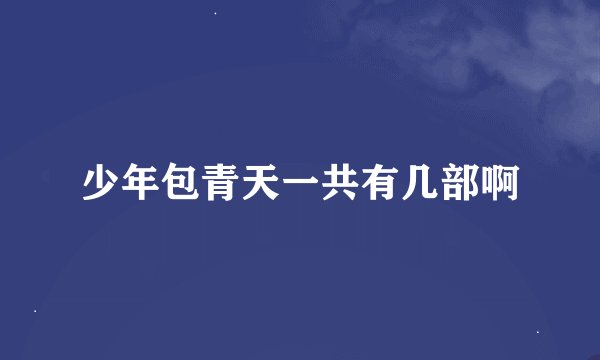 少年包青天一共有几部啊