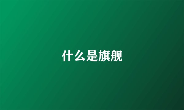 什么是旗舰
