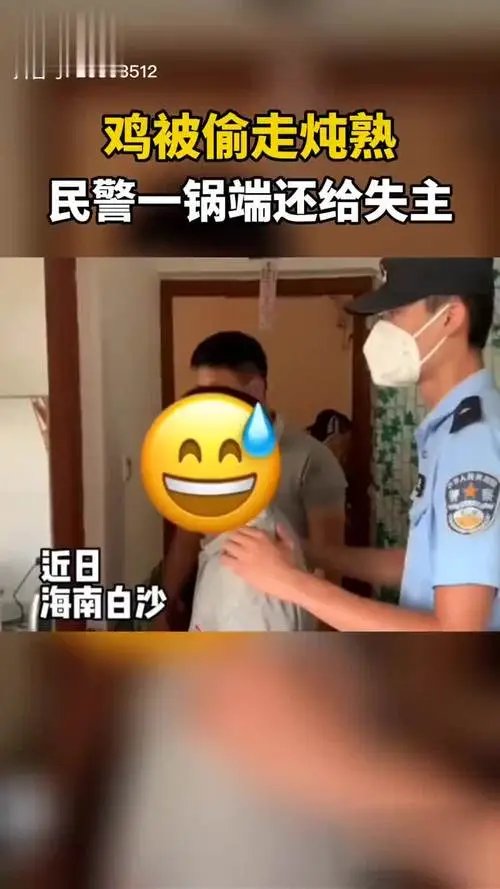 市民家中的鸡被偷走炖熟,民警一锅端还给失主,其厨艺如何?