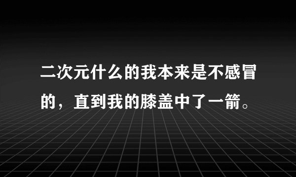 二次元什么的我本来是不感冒的，直到我的膝盖中了一箭。