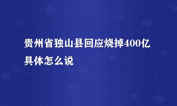 贵州省独山县回应烧掉400亿具体怎么说