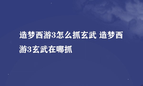 造梦西游3怎么抓玄武 造梦西游3玄武在哪抓