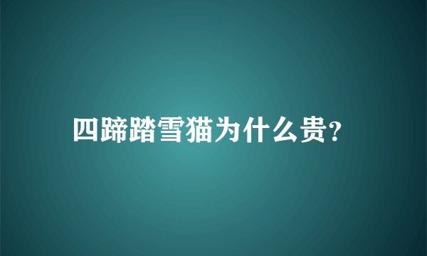 四蹄踏雪猫为什么贵？