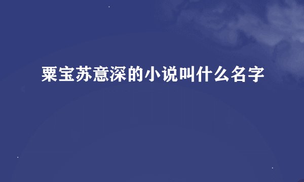 粟宝苏意深的小说叫什么名字