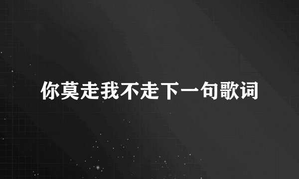 你莫走我不走下一句歌词