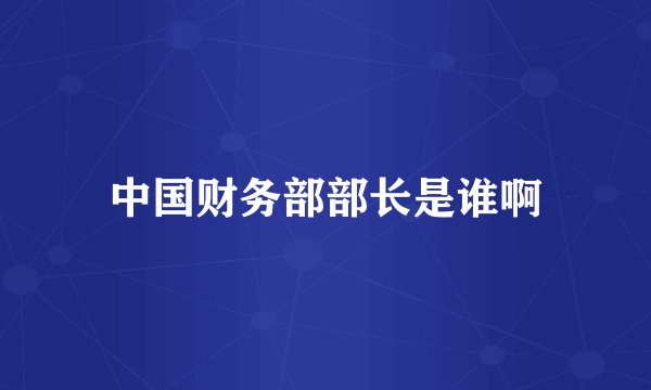 中国财务部部长是谁啊