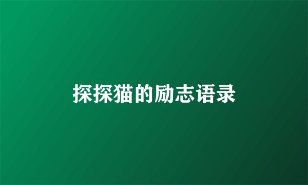 探探猫的励志语录