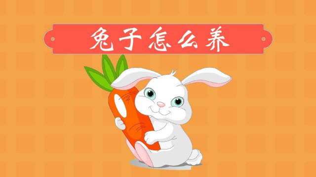 兔子饥饿疗法是怎样的？