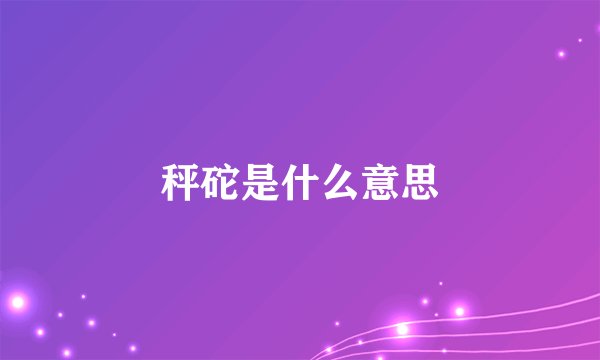 秤砣是什么意思