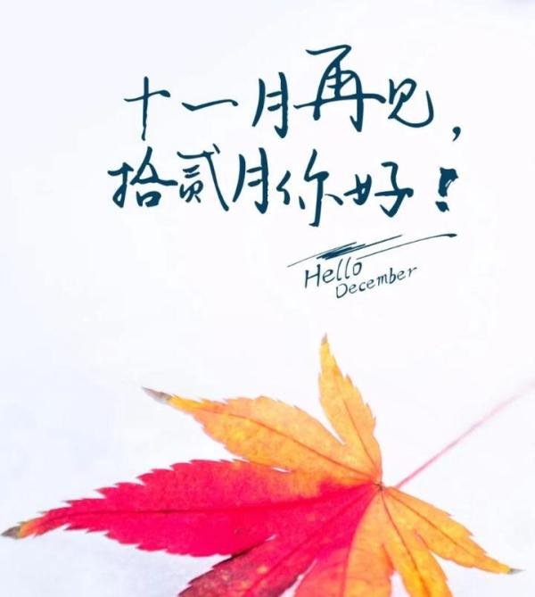十一月再见早安祝福图片 12月你好暖心早上好祝福