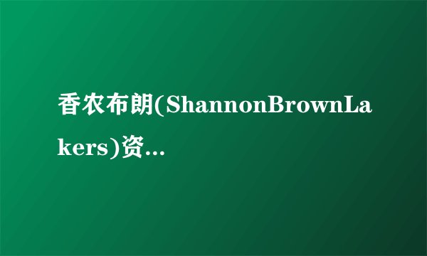 香农布朗(ShannonBrownLakers)资深nba球迷进