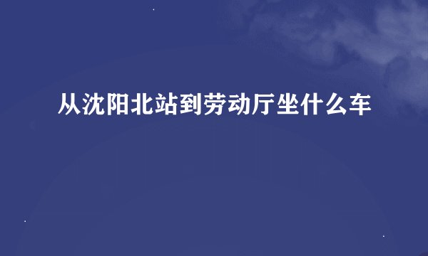 从沈阳北站到劳动厅坐什么车