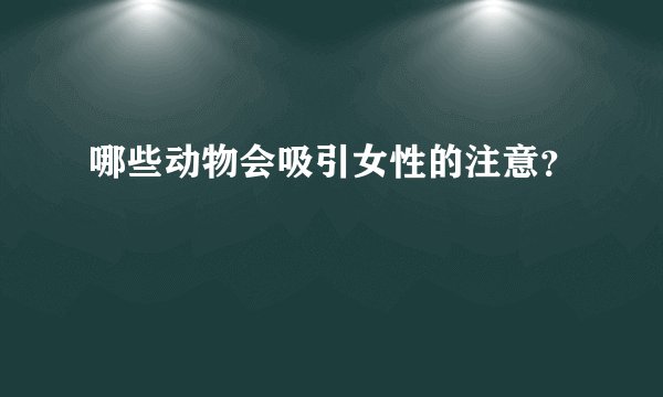 哪些动物会吸引女性的注意？