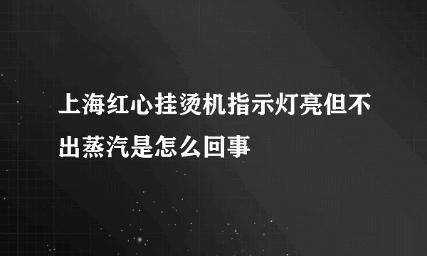 上海红心挂烫机指示灯亮但不出蒸汽是怎么回事