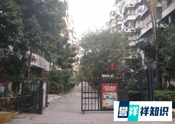 保利董事长宋广菊:这一生,完美!