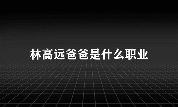 林高远爸爸是什么职业