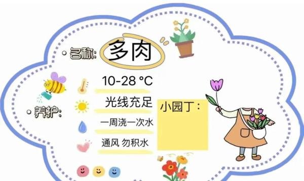 棒的幼儿园动植物角植物名称牌、可打印直接使用！看过的园长幼师都收藏了！