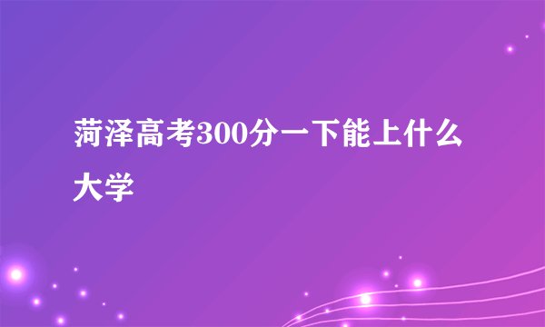 菏泽高考300分一下能上什么大学