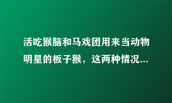活吃猴脑和马戏团用来当动物明星的板子猴，这两种情况哪个更残忍