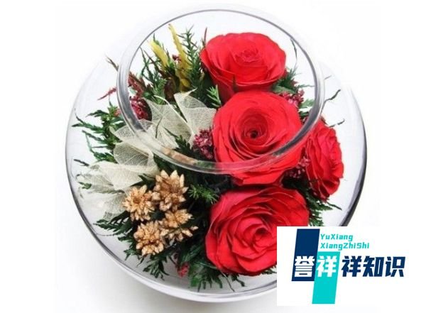圣诞礼物送什么好