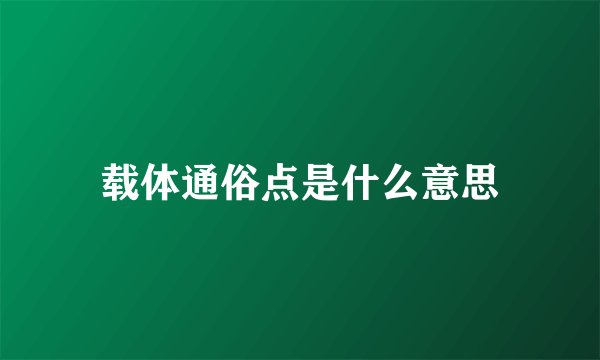 载体通俗点是什么意思