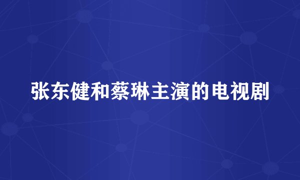 张东健和蔡琳主演的电视剧